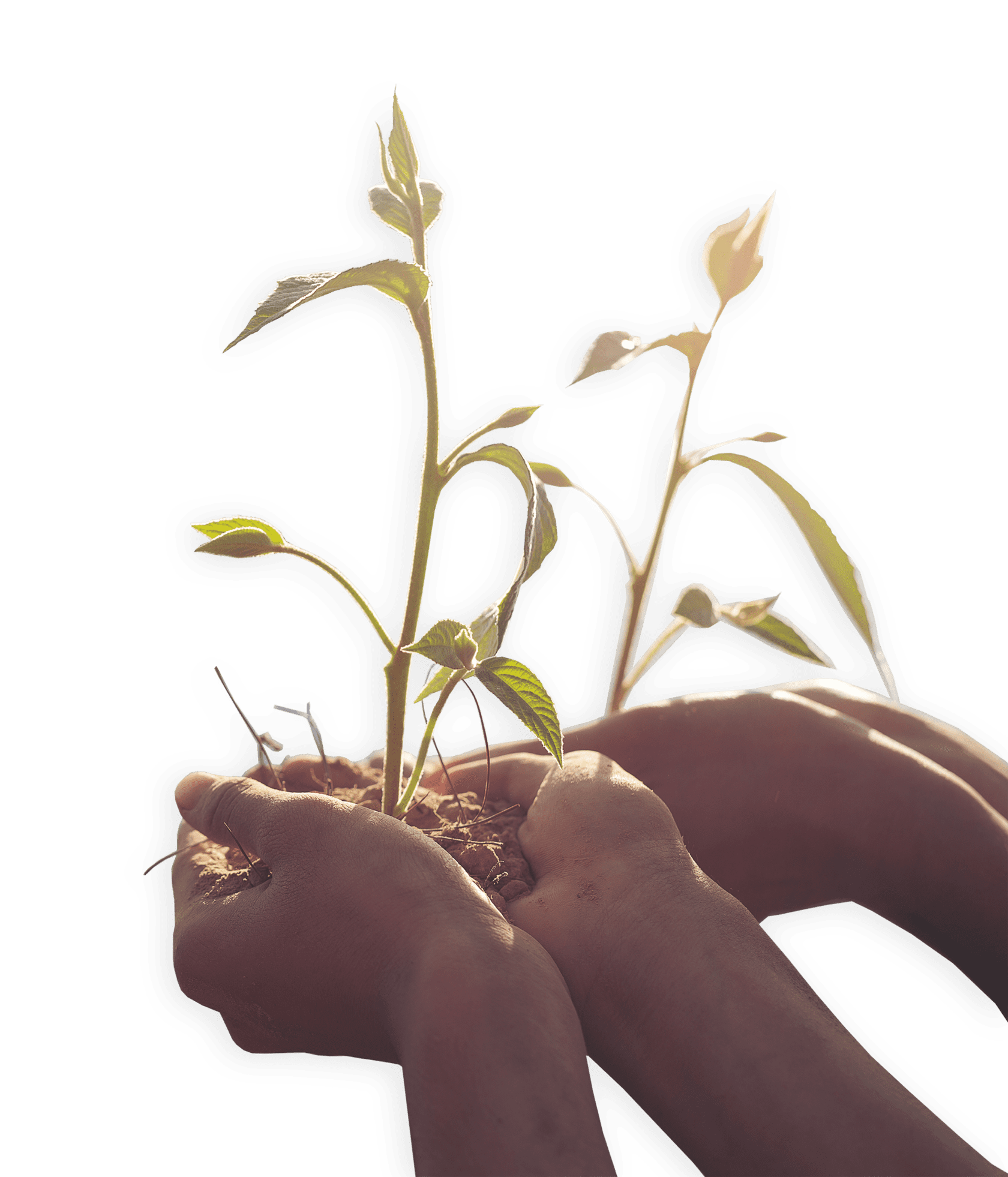 геоглиф, искра, операция, ленинградская область, места славы, ВОВ